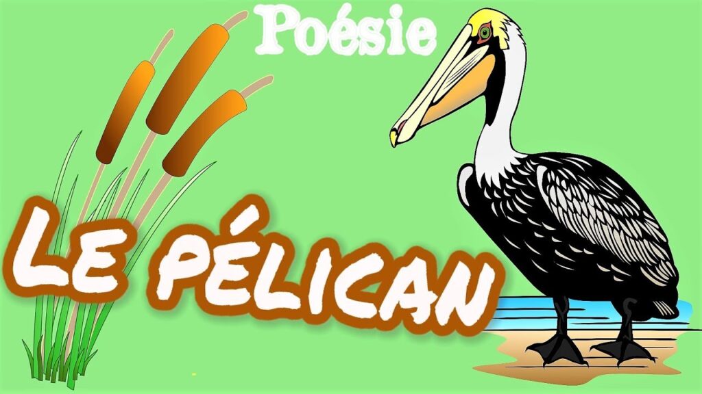 Poesie le Pelican : L’art de la poésie en mouvement